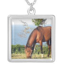 Het Ketting van de Foto van het Paard van het kwar
