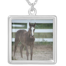 HET KETTING VAN HET PAARD
