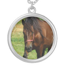 Het Ketting van het Paard van het ontwerp