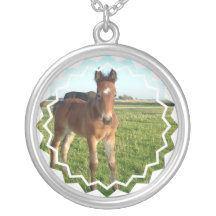 Het Ketting van het Veulen van het paard