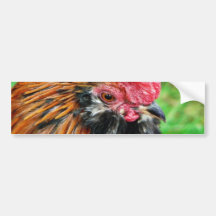 Het kleine Dier van de Kip Bumpersticker