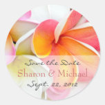 Het kleurrijke Huwelijk van Bloemen Plumeria Ronde Stickers