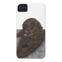 Het Laboratorium van de chocolade iPhone 4 Case-Mate Hoesje