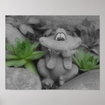 Het leuke Poster van de Kleur van BW van de Kikker