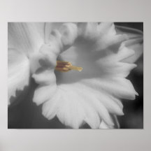 Het macro Poster van de Bloem van de Kleur van de 