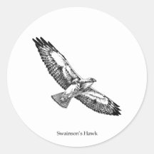 (Het met een adellijke titel) Logo van de Havik va Ronde Sticker
