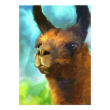 Het MiniPrint van het Portret van de lama 5x7 Persoonlijke Aankondigingen