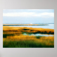 Het Moeras van de Inham van Tom, Assateague - Impr Posters