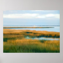 Het Moeras van de Inham van Tom, Assateague N.P. - Posters