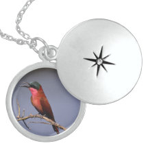 Het mooie Medaillon van het Ketting van Vogels