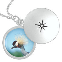 Het mooie Medaillon van het Ketting van Vogels