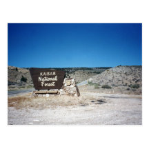 Het Nationale BosTeken van Kaibab Wenskaart
