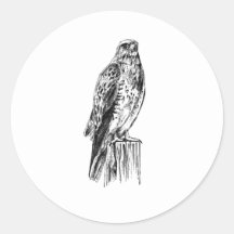 (Het neergestreken) Logo van de Havik van Swainson Sticker
