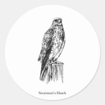 (Het neergestreken) Logo van de Havik van Swainson Ronde Stickers