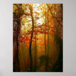 Het nevelige Poster van de Ochtend van de Herfst