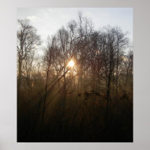 Het nevelige Poster van de Zonsopgang