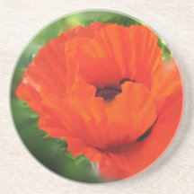 Het Onderzetter van de Bloem van de papaver