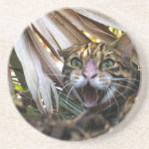 Het Onderzetter van de Kat van Bengalen