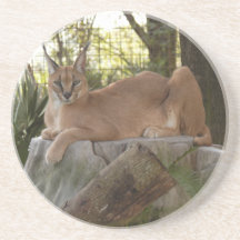 Het Onderzetter van de Lynx van Caracal