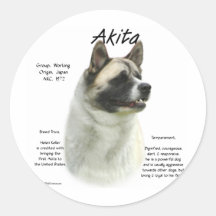 Het Ontwerp van de Geschiedenis van Akita (pinto) Sticker