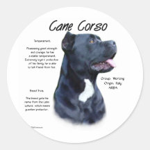 Het Ontwerp van de Geschiedenis van Corso van het  Sticker