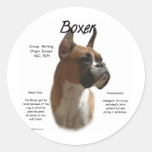 Het Ontwerp van de Geschiedenis van de bokser (faw Sticker