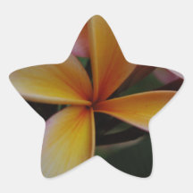 Het ontwerp van Frangipani Stervormige Sticker