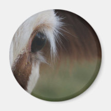 Het Oog van de koe Magneten