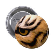 Het Oog van de tijger Speldbuttons