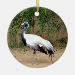 Het Ornament van de Kraan van Demoiselle