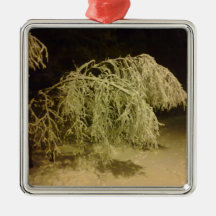 Het Ornament van de winter