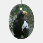 Het Ornament van Eagle van Stellers