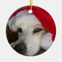 Het Ornament van Kerstmis van de Hond van de kerst