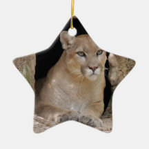 Het Ornament van Kerstmis van de poema