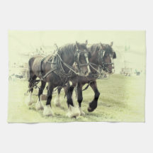 HET PAARD TEATOWEL VAN HET GRAAFSCHAP KEUKEN HANDDOEKEN