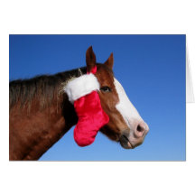 Het Paard van Kerstmis Wenskaarten