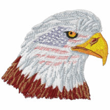 Het patriottische Amerikaanse Hoofd van Eagle van 
