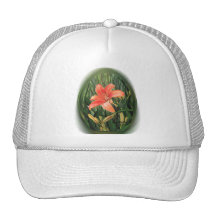 Het Pet van Daylilly