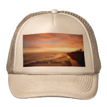 Het Pet van Florida van het Eiland van Sanibel