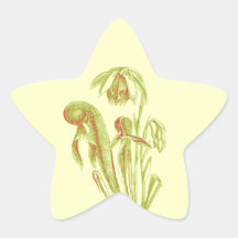 Het Plant van de cobra, Vleesetend Plant Sticker