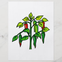 Het Plant van de Spaanse peper Vele Grafische Pepe Folders