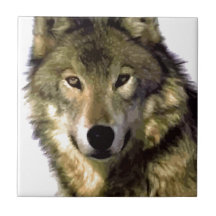 Het Portret van de wolf Geboortetegeltjes