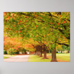 Het poster van de herfst