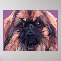 Het Poster van de pekinees van "Taaie Vestingmuur 