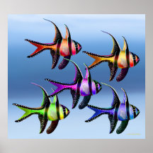 Het Poster van de Regenboog van Cardinalfish van B