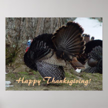 Het Poster van de Thanksgiving