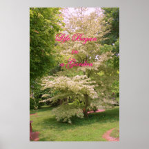 HET POSTER VAN DE TUIN