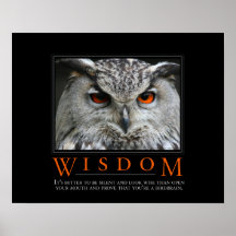 Het Poster van Demotivational van de wijsheid