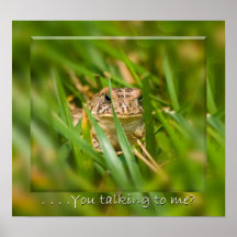 Het Poster van Froggie - u die spreken aan me?