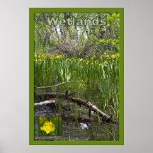 Het Poster van het moerasland
